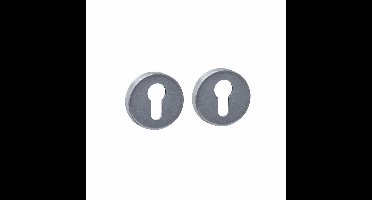 Intersteel cilinderrozetten verdekt ø53x9mm - PVD RVS getrommeld