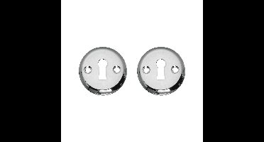 Intersteel rozetten met sleutelgat schroefgat 50x5mm - chroom