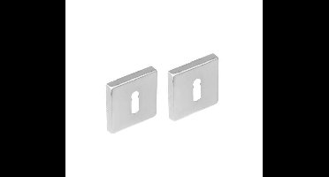 Intersteel rozetten vierkant met sleutelgat losse veer met 7mm nokken 53x8mm - RVS