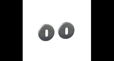 Intersteel sleutelrozetten verdekt ø52x6mm - RVS