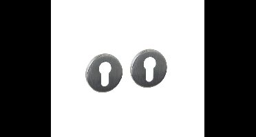 Intersteel cilinderrozetten verdekt ø52x6mm - RVS