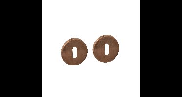 Intersteel sleutelrozetten verdekt ø52x6mm - PVD brons