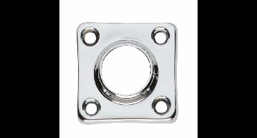 Intersteel Rozet vierkant - chroom