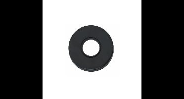 Intersteel Rozet verdekt 49x7mm - mat zwart