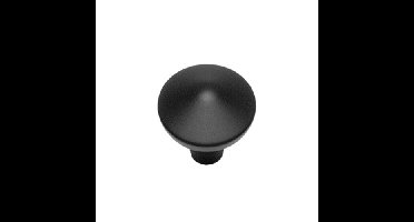 Intersteel Meubelknop puntrond ø25mm - mat zwart