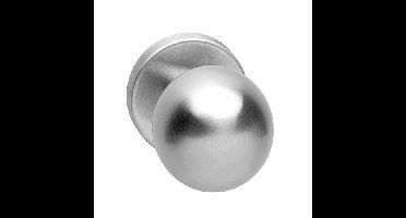 Intersteel Voordeurknop bol vast op rozet 10mm RVS