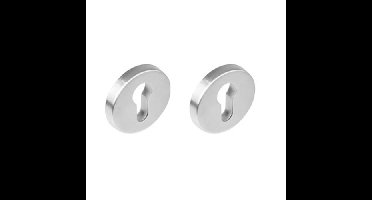 Intersteel Veiligheidsrozet SKG3 verdekt - RVS