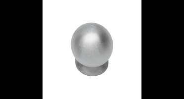 Intersteel Meubelknop bolrond met achterplaat ø20mm - RVS