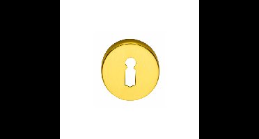 Intersteel Rozet met sleutelgat - messing titaan PVD