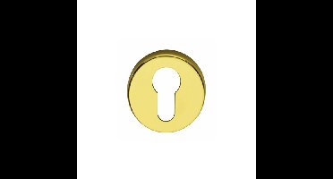 Intersteel Rozet profielcilindergat - messing titaan PVD