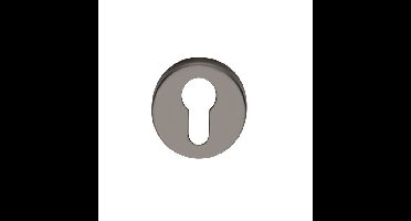 Intersteel Rozet met profielcilindergat - antraciet titaan PVD