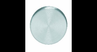 Intersteel Afdekrozet verdekt 55x8mm - RVS