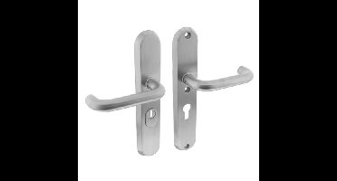 Intersteel Veiligheidsbeslag SKG3 geveerd kruk/kruk PC55mm met kerntrekbeveiliging - RVS