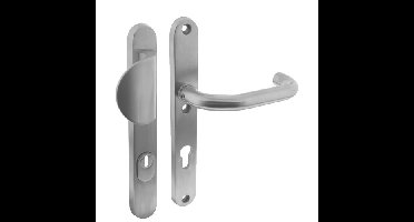 Intersteel Veiligheidsbeslag SKG3 smal geveerd greep/kruk verkropt PC72mm kerntrekbeveiliging - RVS