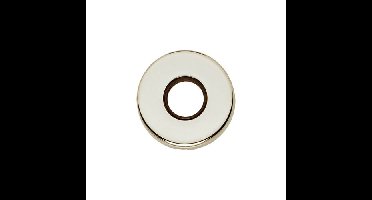 Intersteel Rozet verdekt 50x8mm - nikkel glans