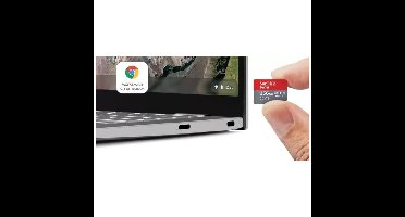 SanDisk MicroSDXC Ultra 256GB voor Chromebooks Micro SD-kaart Grijs