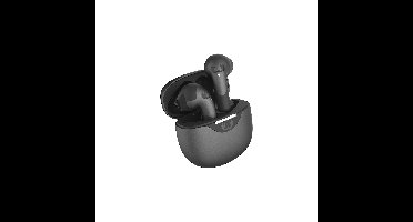 Fresh 'n Rebel Twins Blaze Earbud oordopjes Grijs