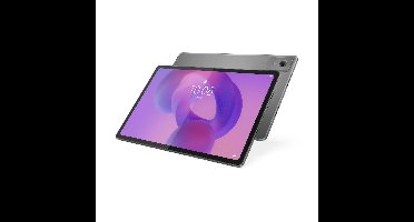 Lenovo Idea Tab Plus 12,1 inch 256GB Wifi met Stylus Tablet