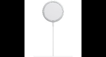 Apple MagSafe-oplader Oplader Grijs