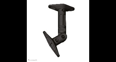 Neomounts SPEAKERW100BLAC Audio muurbeugel Zwart