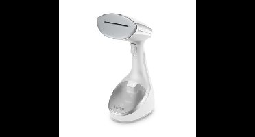 Tefal DT9130 Kleding stomer Grijs