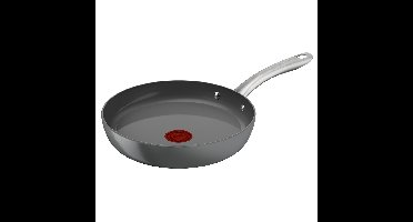 Tefal C42404 Pan Grijs
