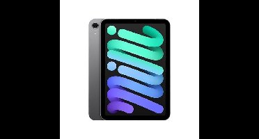 Apple iPad mini (2024) 128GB WiFi Tablet Grijs