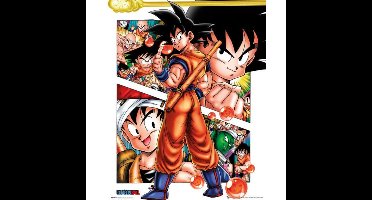 Dragon Ball Z Collage - Mini Poster (928)