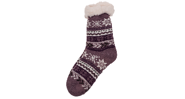 Dames Huissokken Met Antislip Zool