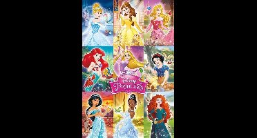 Disney Prinsessen Collage - Maxi Poster (C-736)