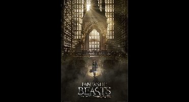 Fantastic Beasts And Where To Find Them Teaser - Maxi Poster (C-785)