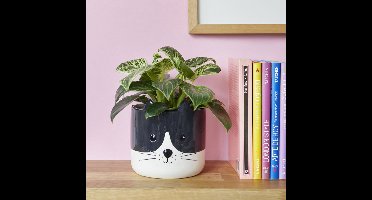 Balvi Kitty Bloempot