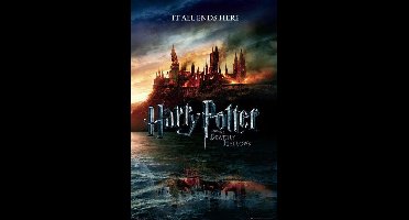 Harry Potter 7 Teaser - Maxi Poster (B-725)