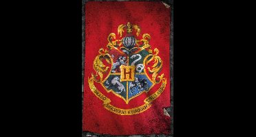 Harry Potter Hogwarts Flag - Maxi Poster (C-782)
