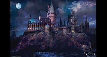 Harry Potter: Hogwarts - Maxi Poster (607)