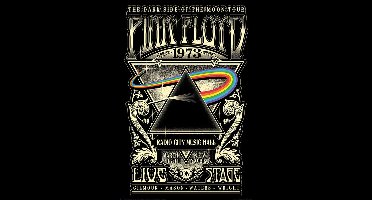 Pink Floyd 1973 - Maxi Poster (608)