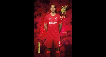 Liverpool FC Virgil Van Dijk - Maxi Poster (717C)