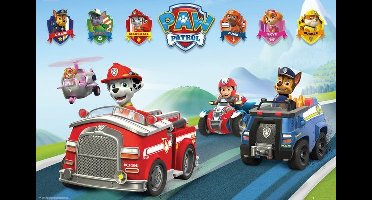 PAW Petrol: Vehicles - Maxi Poster