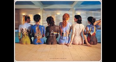 Pink Floyd: Back Catalogue - Maxi Poster (615/44D)