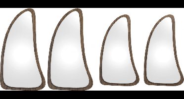 Spiegelset Harmony - Bruin/Zilver