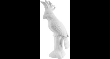 Standbeeld Kaketoe - Wit