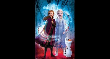 Frozen 2 Guided Spirit - Maxi Poster (1D)