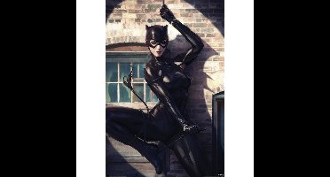 Catwoman Spot Light - Maxi Poster (671)