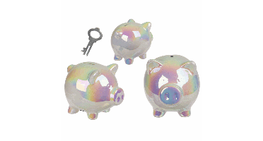 Shiny Piggy Spaarpot Met Slot