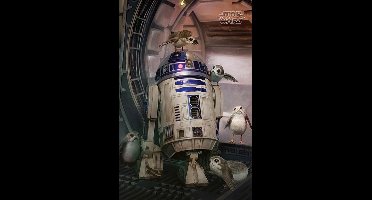 Star Wars: The Last Jedi R2-D2&amp Porgs - Maxi Poster (629)