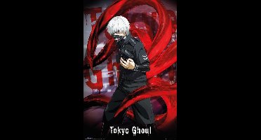 Tokyo Ghoul Ken Kaneki - Maxi Poster (C-638)