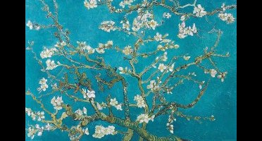 Vincent Van Gogh: Amandelbloesem - Maxi Poster (713)