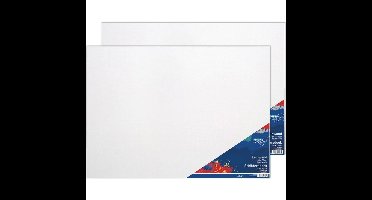 2x Schilders canvas doeken 50 x 70 cm