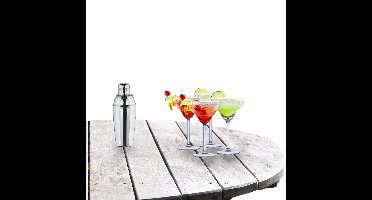 Alpina Cocktailshaker 500 ML - met 4x Margarita cocktailglazen - 250ml