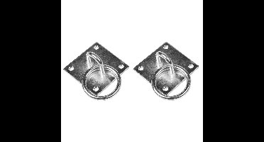 Benson Oogplaat - 2x - 8 cm - met ring - 5 cm - staal verzinkt